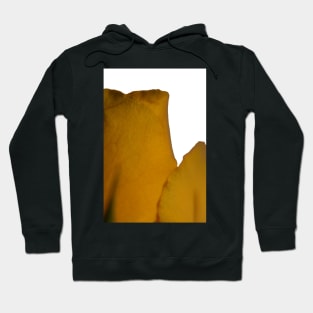 Yellow Rose Macro Hoodie